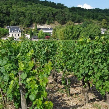 Domaine Bernard Baudry