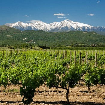 IGP des Côtes Catalanes