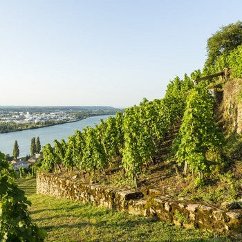 Domaine Bonnefond