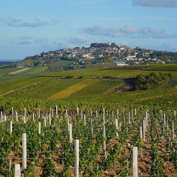 AOC Sancerre
