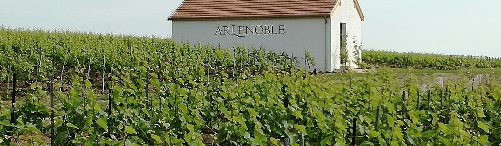 Champagne AR Lenoble