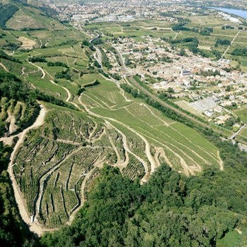 IGP des Côtes Rhodaniennes
