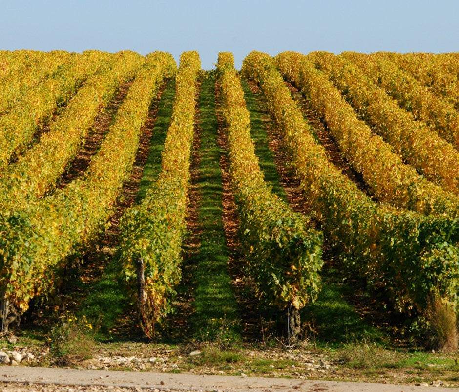 AOC Montlouis sur Loire