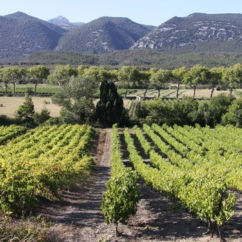 Domaine de Montcalmès