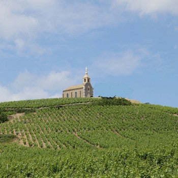 AOC Fleurie