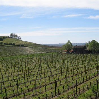 AOC Pauillac