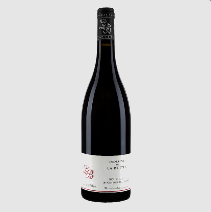 Domaine de la Butte Jacky Blot Bourgueil Mi Pente 2021