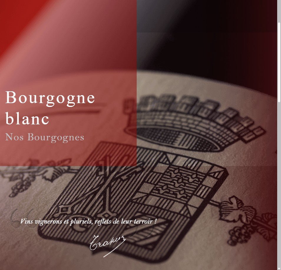 Domaine Jean-Louis Trapet Bourgogne Chardonnay 2023