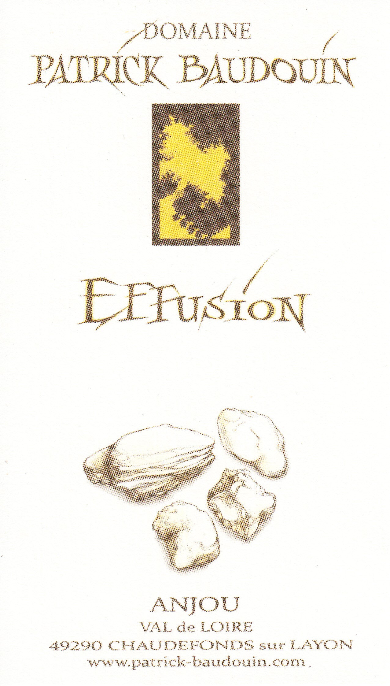Patrick Baudouin Anjou blanc Effusion 2019