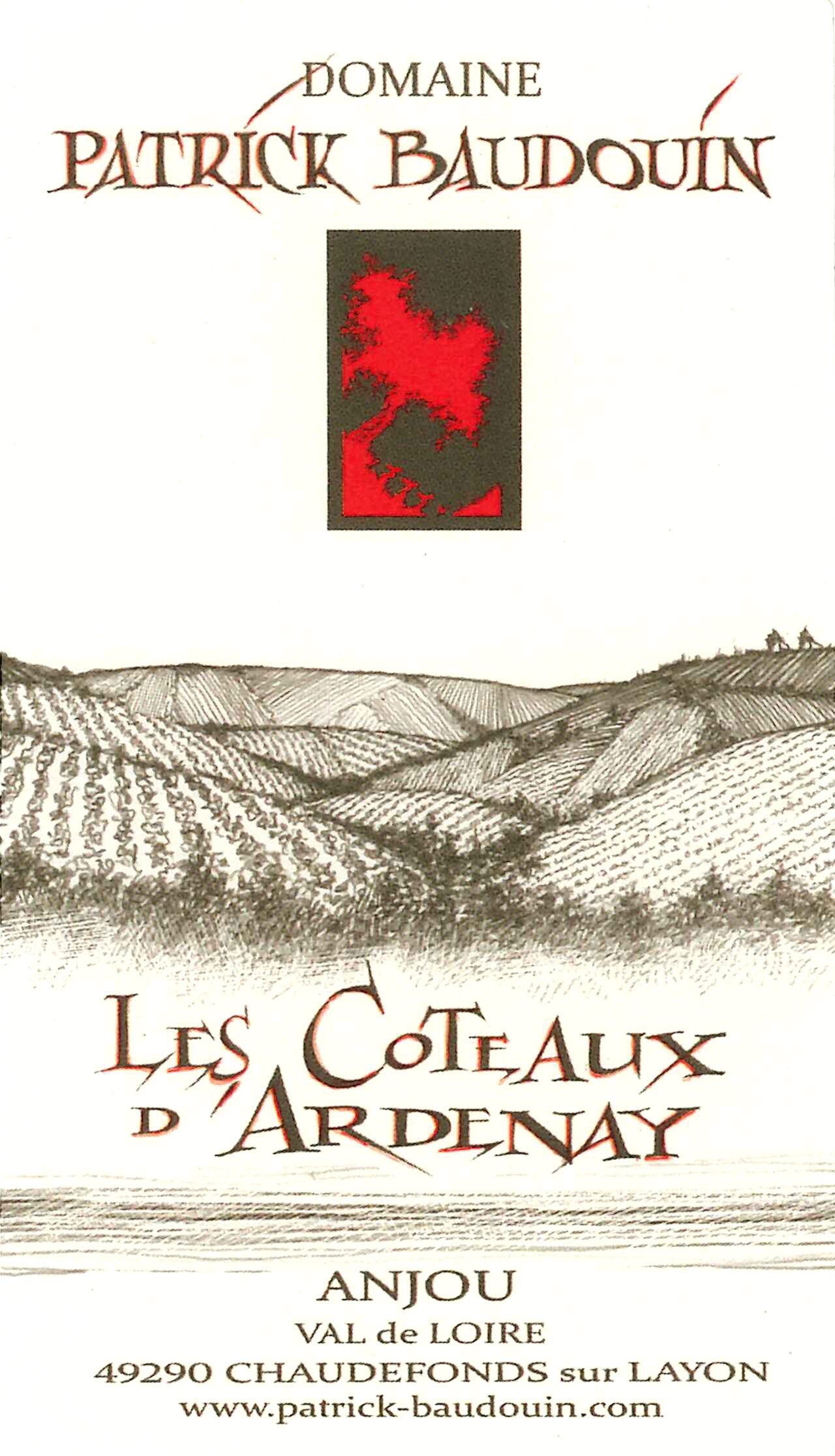 Patrick Baudouin Anjou rouge les Côteaux d'Ardenay 2016