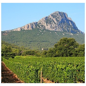 Pic Saint Loup