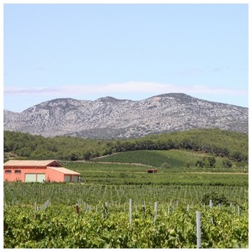 AOC Côtes du Roussillon villages