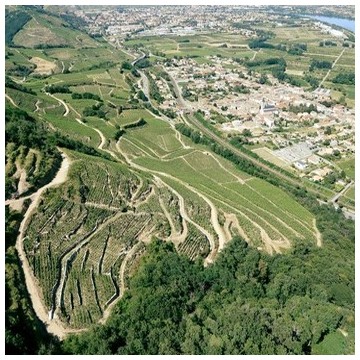 IGP des Côtes Rhodaniennes