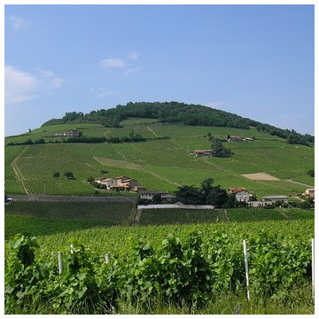 AOC Beaujolais Villages