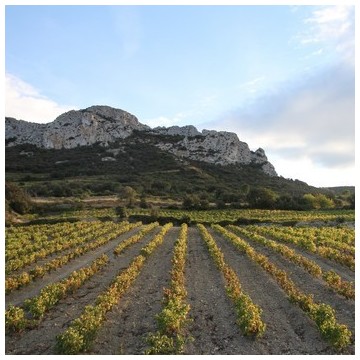 Domaine Pouderoux à Maury