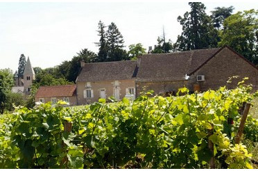 Givry 1er Cru 2022 Clos Salomon : accords mets & vins d’un grand Bourgogne