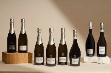 Champagne AR Lenoble Brut Intense Mag 19 : Nos meilleurs accords mets & vins