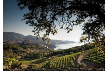 Banyuls : accords mets & vins pour un vin doux naturel d’exception