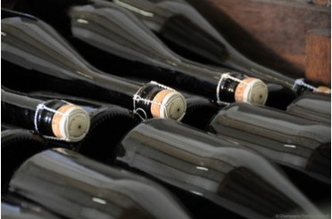 Les cépages du Champagne : Pinot Noir, Meunier et Chardonnay expliqués en détail