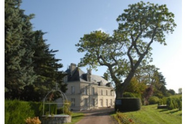 Saumur Blanc “Les Cormiers” 2022 – La pureté du Chenin signée Château de Villeneuve