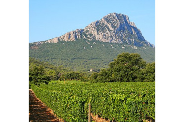 Accord mets & vin avec un Pic Saint-Loup : Sublimez vos repas avec ce vin rouge d’exception ?